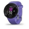 Garmin Forerunner 45S GPS Running Watch Iris